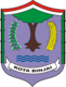 BPKPD Kota Binjai